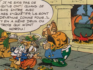 Asterix enquete Web